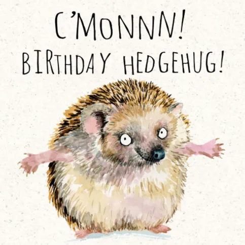 C"monnn Birthday Hedgehog Card