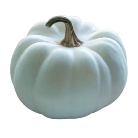 Co-op Ghost Pumpkin