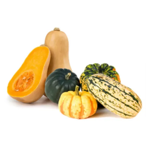 CP Seasonal Mix Squash EACH