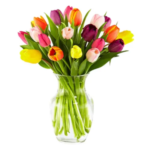 Co-op Tulips Bunch  Each