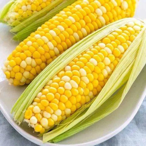 Corn on The Cob