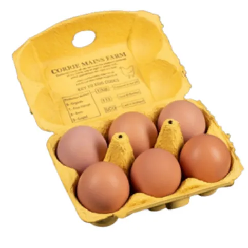Corries Main Eggs Large 6 Pack