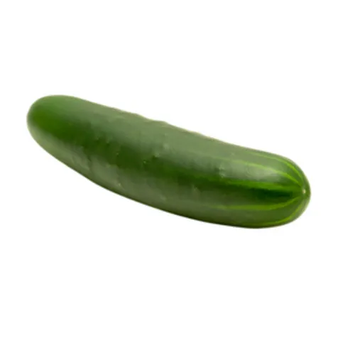 Cucumber