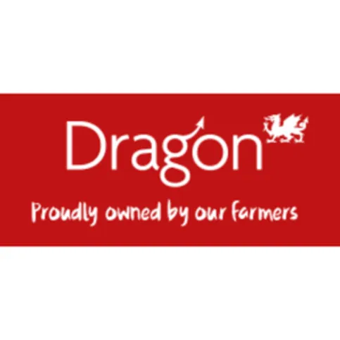 Dragon Whole Milk Blue 2L
