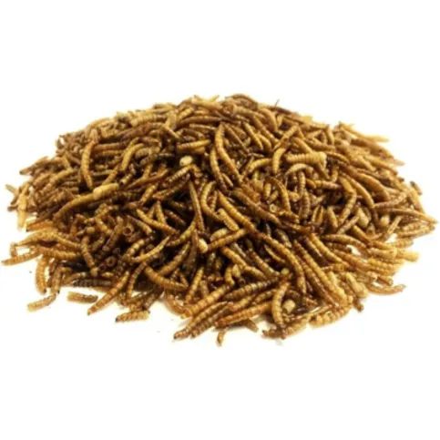 Dried Meal Worm 100g