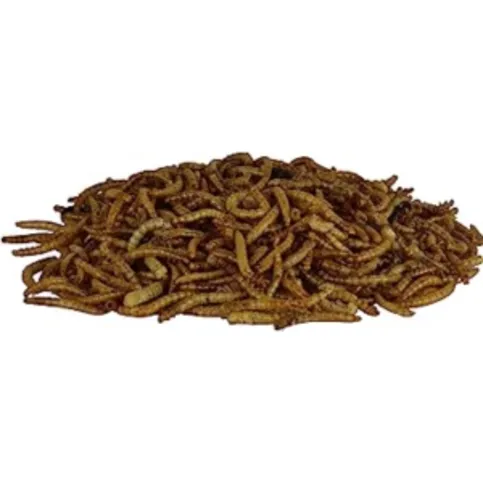 Dried Mealworms Pouch Pack 70g