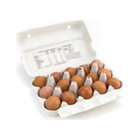 Eggs 6