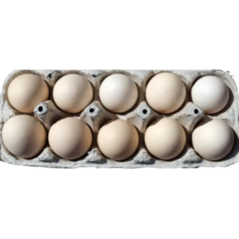 Eggs 10 Pack