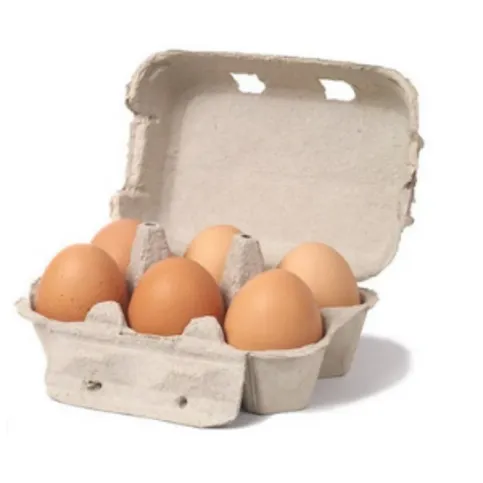 Farmlay Eggs Large 6 Pack