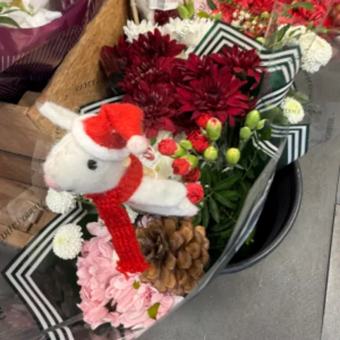 Festive Carnations