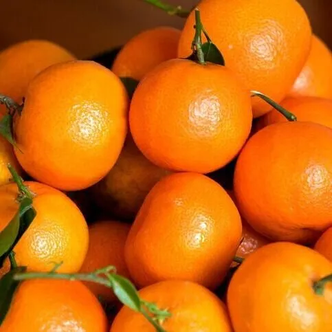 Farm Fresh Clementines
