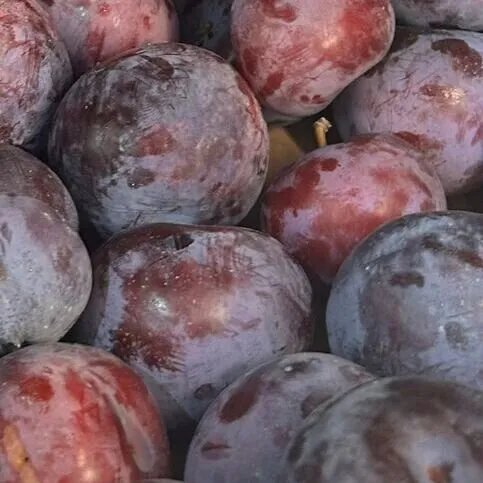 Fresh Plums (Choose Your Weight)