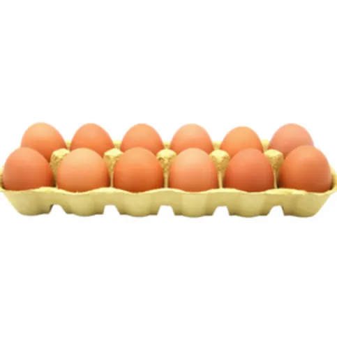 Fresh Today 12 Free Range Eggs