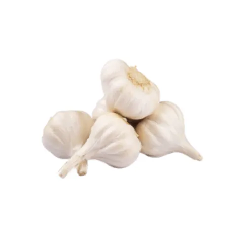 Garlic (pack of 4)