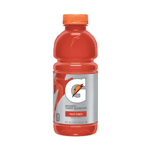 Gatorade Fruit Punch 500ml