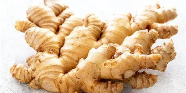 Ginger