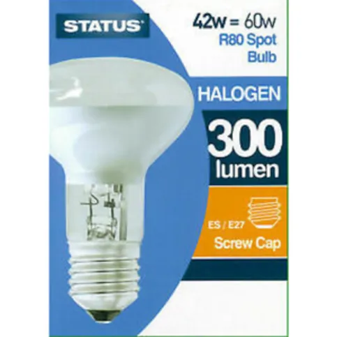 Halogen 300 lumen Screw Cap 60W
