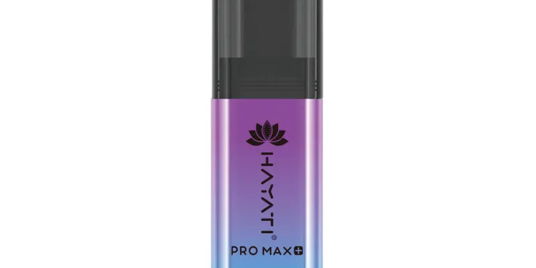 HAYATI PRO MAX 6000+ BLUEBERRY RASPBERRY