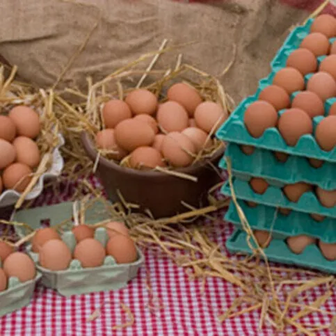 Heathers Eggs Large 6s