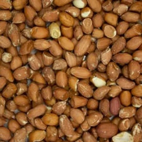 Ho Jay Wild Bird Peanuts 400g - Bird Food