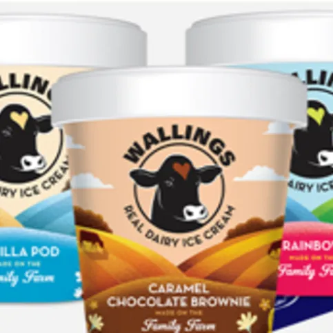 Ice Cream 500ml Tub 