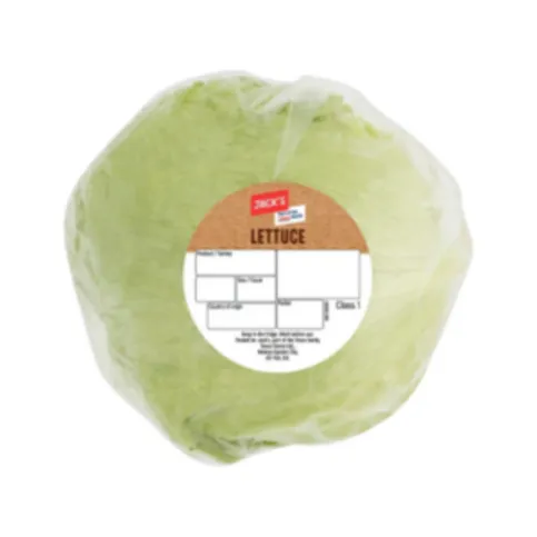 Jack's Iceberg Lettuce Single