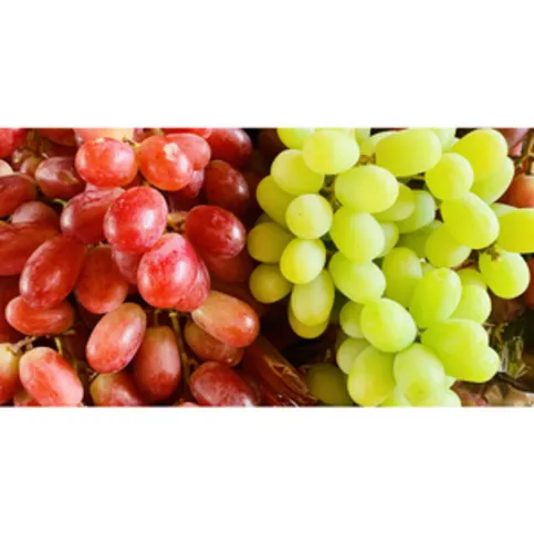 Jacks Seedless Grapes