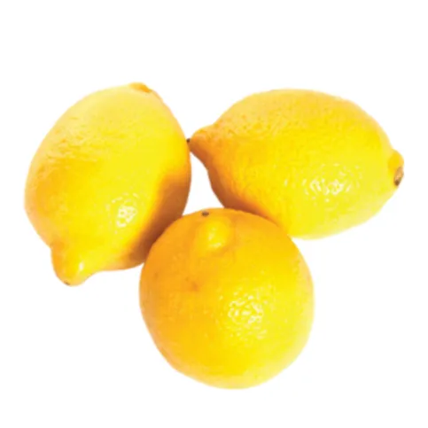 Lemon Net 3 Pack