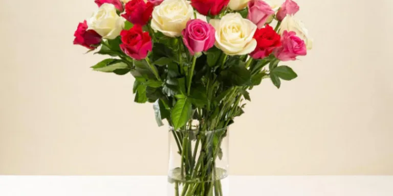 M BEAUTIFUL ROSES WHOLESALE