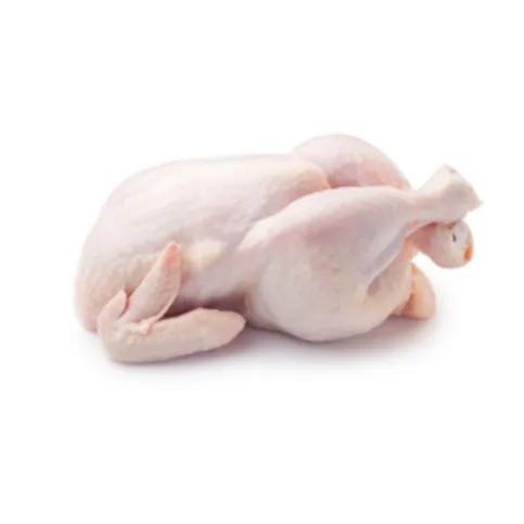 Medium Chicken (each)