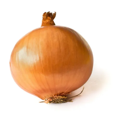 Onion