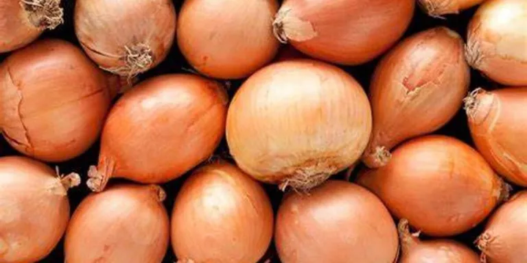 Onions