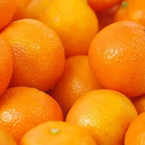 Oranges 4PK