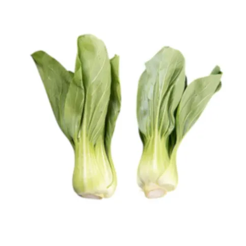 Pak Choy (Twin Pack)