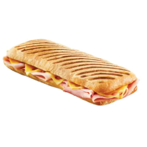 Panini