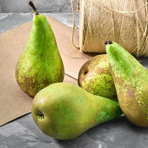 Pears
