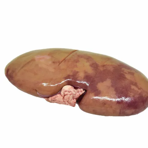 Pigs Kidney (Diced)