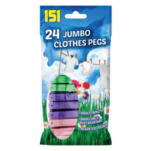 Plastic Pegs 24 Pack