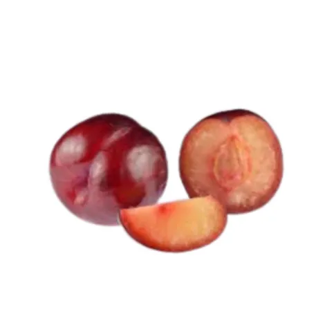 Plum