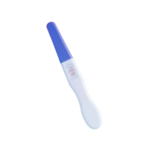 Pregnancy Test