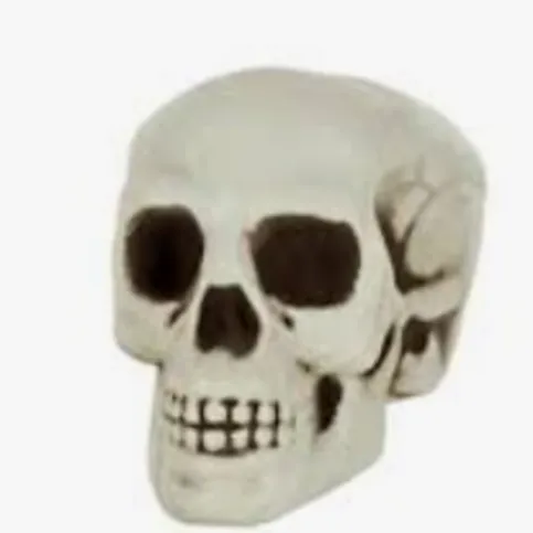 Premier 10cm Mini Skull EACH