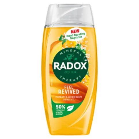 Radox Mineral Therapy body wash Feel Revived 225ml