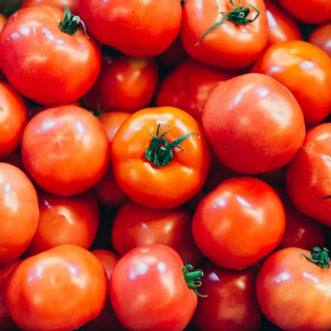 Raith Fruit Tomatoes