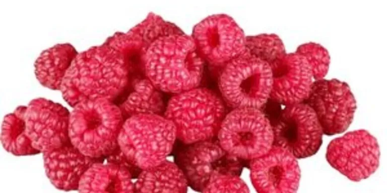 Raspberries - Packet