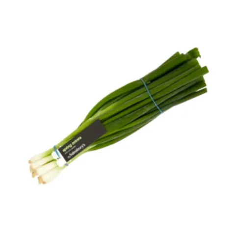 Scallions Bunch 100g