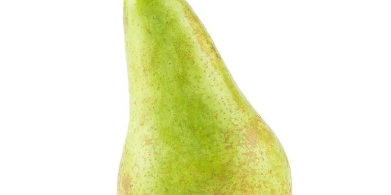 Single Conference Pear