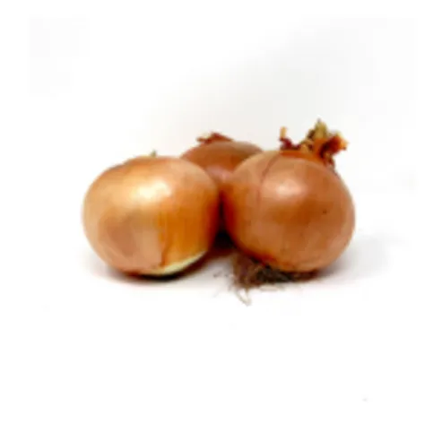 Spanish Onion Per Kilo