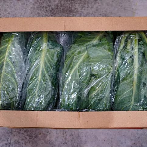 Spring Cabbage 400g