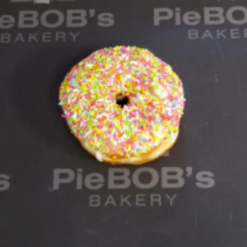 Sprinkle Ring Donut