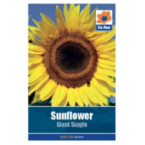Giant Sunflower Single Seed